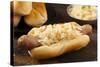 Homemade Bratwurst with Sauerkraut-bhofack22-Stretched Canvas