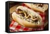 Homemade Bratwurst with Sauerkraut-bhofack22-Framed Stretched Canvas