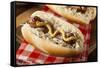 Homemade Bratwurst with Sauerkraut-bhofack22-Framed Stretched Canvas