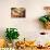 Homemade Bratwurst with Sauerkraut-bhofack22-Photographic Print displayed on a wall