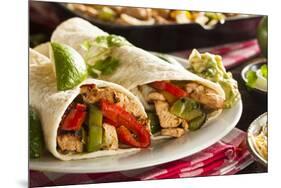 Homemade Chicken Fajitas with Vegetables-bhofack22-Mounted Photographic Print