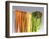 Homemade Fettuccini-Studio R. Schmitz-Framed Photographic Print