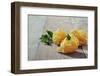 Homemade Pasta-tashka2000-Framed Photographic Print