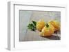 Homemade Pasta-tashka2000-Framed Photographic Print