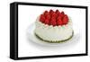 Homemade Strawberry Cake-oysy-Framed Stretched Canvas