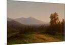 Wood Mount