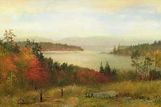 Raquette Lake, 1869-Homer Dodge Martin-Stretched Canvas