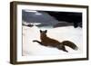 Homer: Fox Hunt, 1893-Winslow Homer-Framed Giclee Print