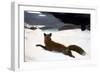 Homer: Fox Hunt, 1893-Winslow Homer-Framed Giclee Print