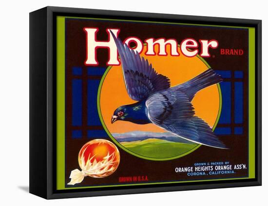 Homer Pigeon Label-null-Framed Stretched Canvas