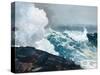 Homer's Crashing Waves III-Winslow Homer-Stretched Canvas