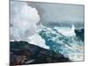 Homer's Crashing Waves III-Winslow Homer-Mounted Art Print