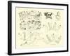 Homer's Iliad-null-Framed Giclee Print