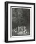 Homer the Classic Poets-Gustave Dor?-Framed Art Print