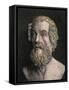 Homer, the Greek Poet-null-Framed Stretched Canvas