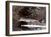 Homer: Trout, 1889-Winslow Homer-Framed Giclee Print