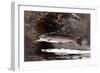 Homer: Trout, 1889-Winslow Homer-Framed Giclee Print