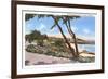 Homes along the Shore, Carmel, California-null-Framed Art Print