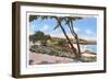 Homes along the Shore, Carmel, California-null-Framed Art Print