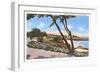 Homes along the Shore, Carmel, California-null-Framed Art Print