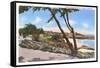 Homes along the Shore, Carmel, California-null-Framed Stretched Canvas