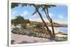 Homes along the Shore, Carmel, California-null-Stretched Canvas