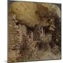 'Homes of a Vanished Race - Cliff Dwellings in Walnut Canyon, Arizona', 1903-Elmer Underwood-Mounted Photographic Print