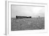 Homestead and Tree-Amanda Lee Smith-Framed Photographic Print