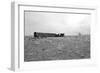 Homestead and Tree-Amanda Lee Smith-Framed Photographic Print