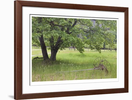 Homestead Fields-Donald Paulson-Framed Giclee Print