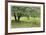 Homestead Fields-Donald Paulson-Framed Giclee Print