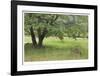 Homestead Fields-Donald Paulson-Framed Giclee Print