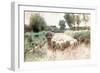 Homeward Bound-Anton Mauve-Framed Giclee Print