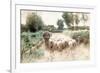 Homeward Bound-Anton Mauve-Framed Giclee Print