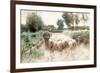 Homeward Bound-Anton Mauve-Framed Giclee Print