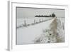 Homeward Path-Adrian Campfield-Framed Giclee Print