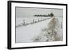 Homeward Path-Adrian Campfield-Framed Giclee Print