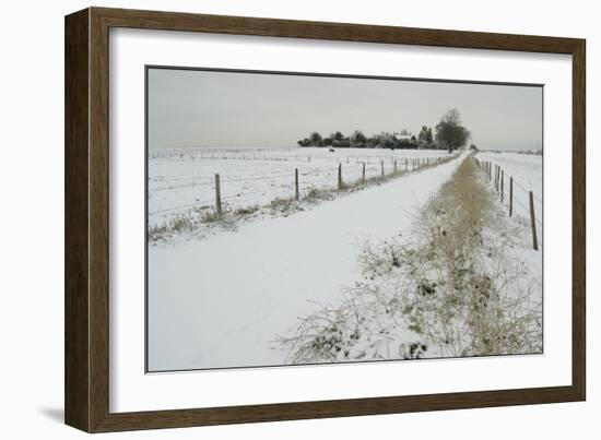Homeward Path-Adrian Campfield-Framed Giclee Print