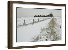 Homeward Path-Adrian Campfield-Framed Giclee Print