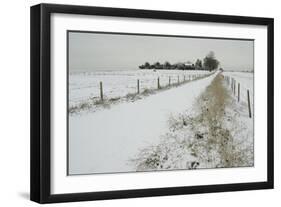 Homeward Path-Adrian Campfield-Framed Giclee Print