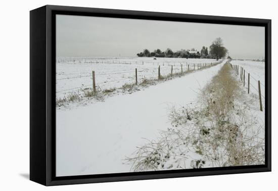 Homeward Path-Adrian Campfield-Framed Stretched Canvas