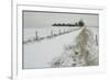 Homeward Path-Adrian Campfield-Framed Giclee Print