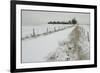 Homeward Path-Adrian Campfield-Framed Giclee Print