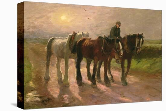 Homeward-Harry Fidler-Stretched Canvas