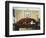 Homework-Stephane Poulin-Framed Giclee Print