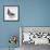 Homing Pigeon in Studio-null-Framed Photographic Print displayed on a wall