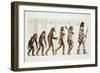 Hominid Evolution Through Time-null-Framed Giclee Print