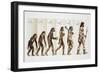 Hominid Evolution Through Time-null-Framed Giclee Print