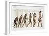Hominid Evolution Through Time-null-Framed Giclee Print