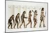 Hominid Evolution Through Time-null-Mounted Giclee Print